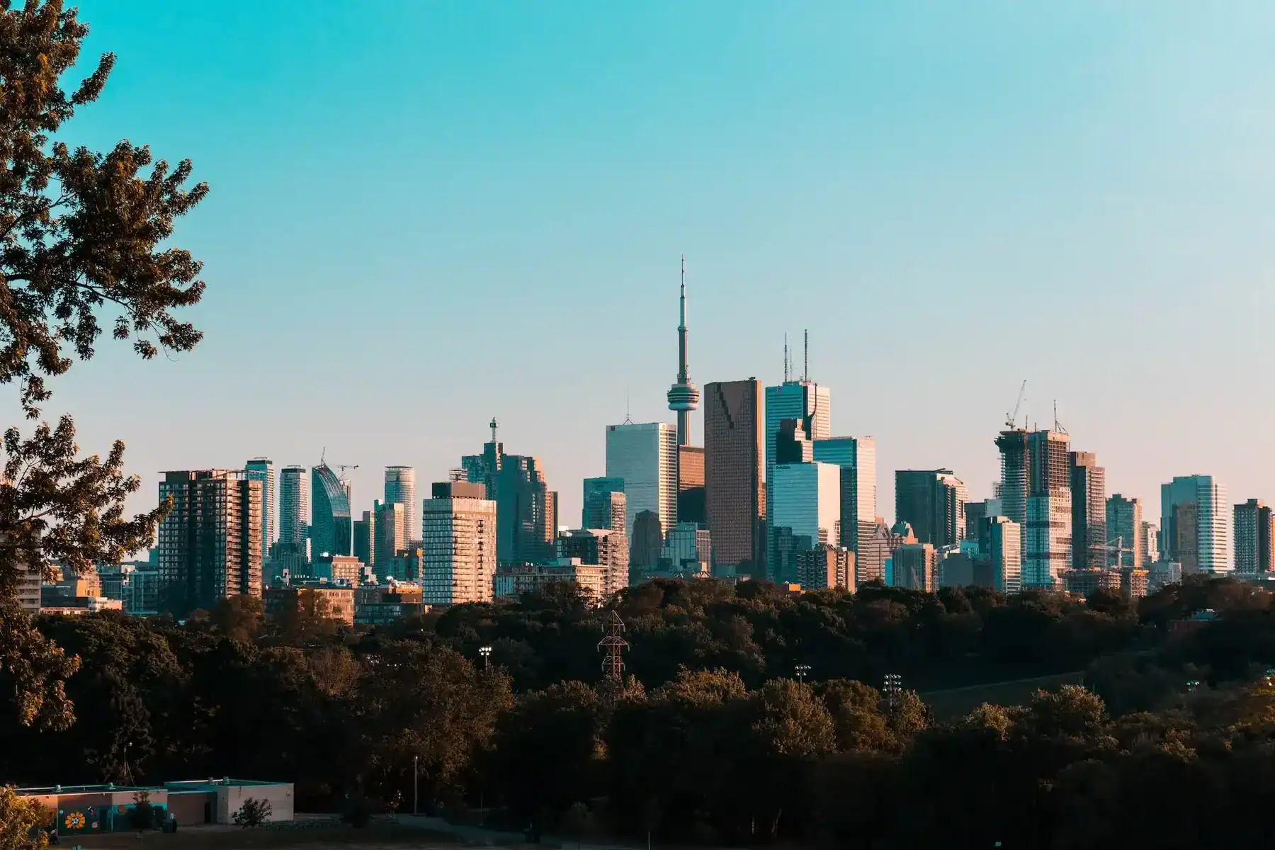 Toronto skyline with the CN Tower centered among tall buildings, trees in the foreground, and a clear blue sky above—a visual as striking and professional as any project delivered by a leading Saskatoon web design company. - Clio Websites | Top Canadian Web Design Company